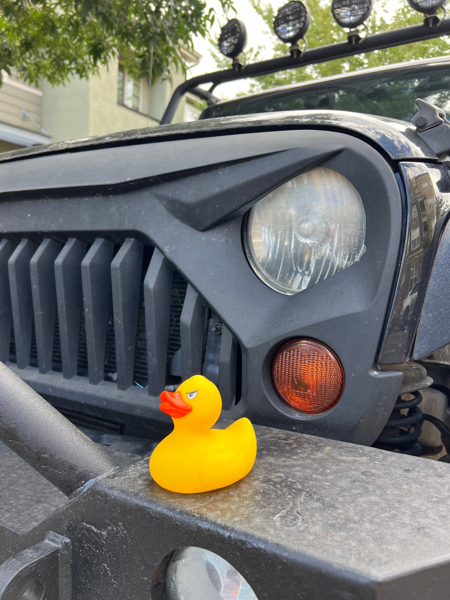 Angry Jeep Duck